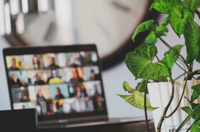 Compagnons e Tg MF Fzro Gc unsplash